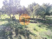 Terreno R�stico - Odeleite, Castro Marim, Faro (Algarve) - Miniatura: 3/9