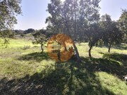 Terreno R�stico - Odeleite, Castro Marim, Faro (Algarve) - Miniatura: 7/9