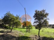 Terreno R�stico - Odeleite, Castro Marim, Faro (Algarve) - Miniatura: 8/9