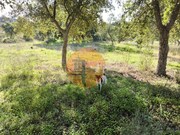 Terreno R�stico - Odeleite, Castro Marim, Faro (Algarve) - Miniatura: 9/9
