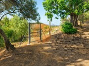 Moradia T4 - S�o Br�s de Alportel, S�o Br�s de Alportel, Faro (Algarve) - Miniatura: 8/9