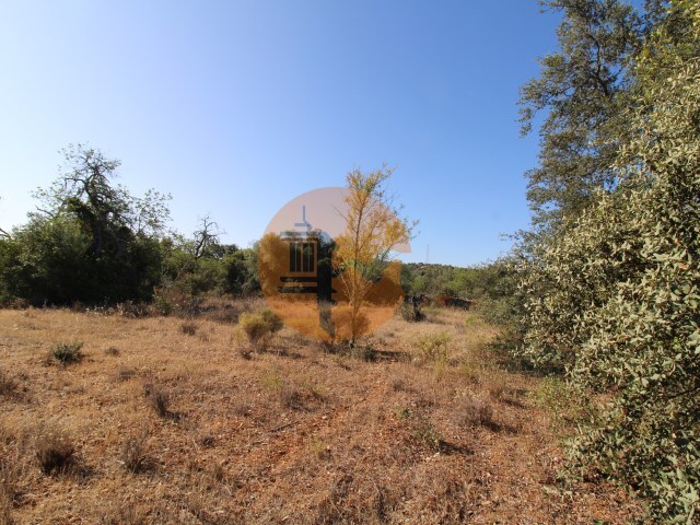 Terreno R�stico - Concei��o, Faro, Faro (Algarve) - Imagem grande