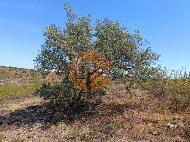 Terreno R�stico - Odeleite, Castro Marim, Faro (Algarve) - Imagem grande