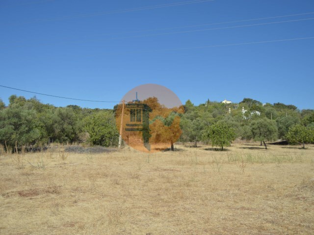 Terreno R�stico - Santa Catarina da Fonte do Bispo, Tavira, Faro (Algarve) - Imagem grande