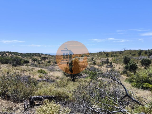 Terreno R�stico - Vila Nova de Cacela, Vila Real de Santo Ant�nio, Faro (Algarve) - Imagem grande