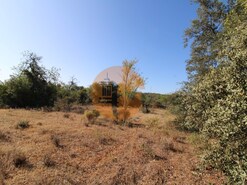 Terreno R�stico - Concei��o, Faro, Faro (Algarve)