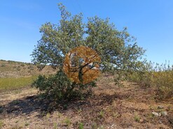 Terreno R�stico - Odeleite, Castro Marim, Faro (Algarve)