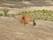 Terreno R�stico - Castro Marim, Castro Marim, Faro (Algarve) - Miniatura: 3/9
