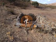 Terreno R�stico - Castro Marim, Castro Marim, Faro (Algarve) - Miniatura: 9/9