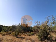 Terreno R�stico - Concei��o, Faro, Faro (Algarve) - Miniatura: 1/9