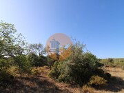 Terreno R�stico - Concei��o, Faro, Faro (Algarve) - Miniatura: 2/9