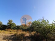 Terreno R�stico - Concei��o, Faro, Faro (Algarve) - Miniatura: 3/9