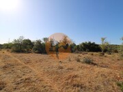 Terreno R�stico - Concei��o, Faro, Faro (Algarve) - Miniatura: 4/9