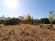 Terreno R�stico - Concei��o, Faro, Faro (Algarve) - Miniatura: 5/9