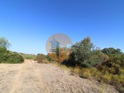 Terreno R�stico - Concei��o, Faro, Faro (Algarve) - Miniatura: 6/9
