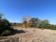 Terreno R�stico - Concei��o, Faro, Faro (Algarve) - Miniatura: 7/9