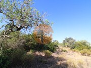 Terreno R�stico - Concei��o, Faro, Faro (Algarve) - Miniatura: 8/9