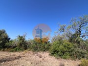 Terreno R�stico - Concei��o, Faro, Faro (Algarve) - Miniatura: 9/9
