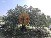 Moradia T1 - Castro Marim, Castro Marim, Faro (Algarve) - Miniatura: 1/9