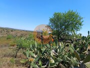 Terreno R�stico - Odeleite, Castro Marim, Faro (Algarve) - Miniatura: 5/9