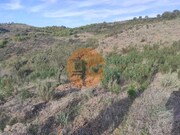 Terreno R�stico - Odeleite, Castro Marim, Faro (Algarve) - Miniatura: 8/9