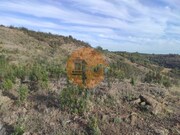 Terreno R�stico - Odeleite, Castro Marim, Faro (Algarve) - Miniatura: 9/9