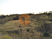 Terreno R�stico - Concei��o de Tavira, Tavira, Faro (Algarve) - Miniatura: 5/7