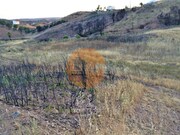 Terreno R�stico - Concei��o de Tavira, Tavira, Faro (Algarve) - Miniatura: 6/7