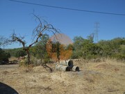 Terreno R�stico - Santa Catarina da Fonte do Bispo, Tavira, Faro (Algarve) - Miniatura: 1/9