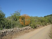 Terreno R�stico - Santa Catarina da Fonte do Bispo, Tavira, Faro (Algarve) - Miniatura: 2/9