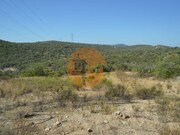 Terreno R�stico - Santa Catarina da Fonte do Bispo, Tavira, Faro (Algarve) - Miniatura: 5/9