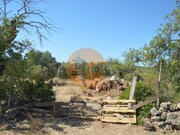 Terreno R�stico - Santa Catarina da Fonte do Bispo, Tavira, Faro (Algarve) - Miniatura: 7/9