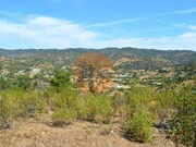 Terreno R�stico - Santa Catarina da Fonte do Bispo, Tavira, Faro (Algarve) - Miniatura: 2/9