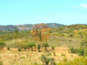 Terreno R�stico - Santa Catarina da Fonte do Bispo, Tavira, Faro (Algarve) - Miniatura: 5/9