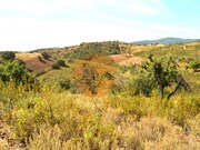 Terreno R�stico - Santa Catarina da Fonte do Bispo, Tavira, Faro (Algarve) - Miniatura: 6/9
