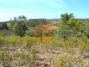 Terreno R�stico - Santa Catarina da Fonte do Bispo, Tavira, Faro (Algarve) - Miniatura: 7/9
