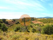 Terreno R�stico - Santa Catarina da Fonte do Bispo, Tavira, Faro (Algarve) - Miniatura: 8/9