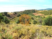 Terreno R�stico - Santa Catarina da Fonte do Bispo, Tavira, Faro (Algarve) - Miniatura: 9/9
