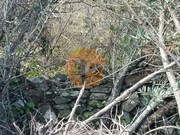 Terreno R�stico - Alcoutim, Alcoutim, Faro (Algarve) - Miniatura: 9/9