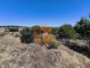 Terreno R�stico - Vila Nova de Cacela, Vila Real de Santo Ant�nio, Faro (Algarve) - Miniatura: 5/9