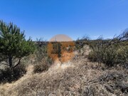 Terreno R�stico - Vila Nova de Cacela, Vila Real de Santo Ant�nio, Faro (Algarve) - Miniatura: 7/9