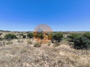 Terreno R�stico - Vila Nova de Cacela, Vila Real de Santo Ant�nio, Faro (Algarve) - Miniatura: 9/9