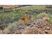 Terreno R�stico - Odeleite, Castro Marim, Faro (Algarve) - Miniatura: 4/6