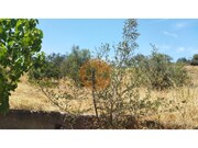 Terreno R�stico - Alcoutim, Alcoutim, Faro (Algarve) - Miniatura: 2/9