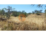 Terreno R�stico - Alcoutim, Alcoutim, Faro (Algarve) - Miniatura: 3/9