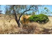 Terreno R�stico - Alcoutim, Alcoutim, Faro (Algarve) - Miniatura: 7/9