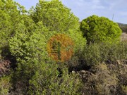 Terreno R�stico - Castro Marim, Castro Marim, Faro (Algarve) - Miniatura: 2/9