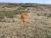 Terreno R�stico - Castro Marim, Castro Marim, Faro (Algarve) - Miniatura: 9/9