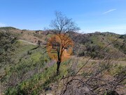 Terreno R�stico - Odeleite, Castro Marim, Faro (Algarve) - Miniatura: 4/9