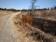 Terreno R�stico - Alcoutim, Alcoutim, Faro (Algarve) - Miniatura: 8/9